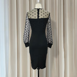 Sheer Long Sleeves Polka Dot Bodycon Dress